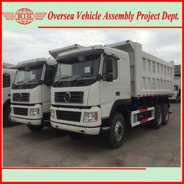 商業ダンプ トラックの一貫作業生産のローカル協同のプロジェクト 1